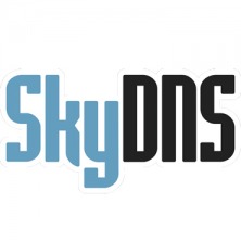 SkyDNS.Бизнес