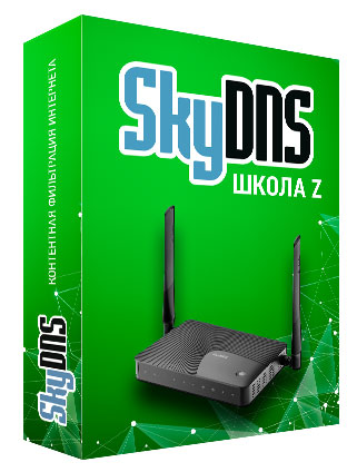 Sky dns